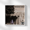 Mewtwo LP